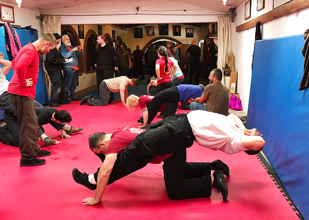 Class practicing Fu Hu Gong exercises